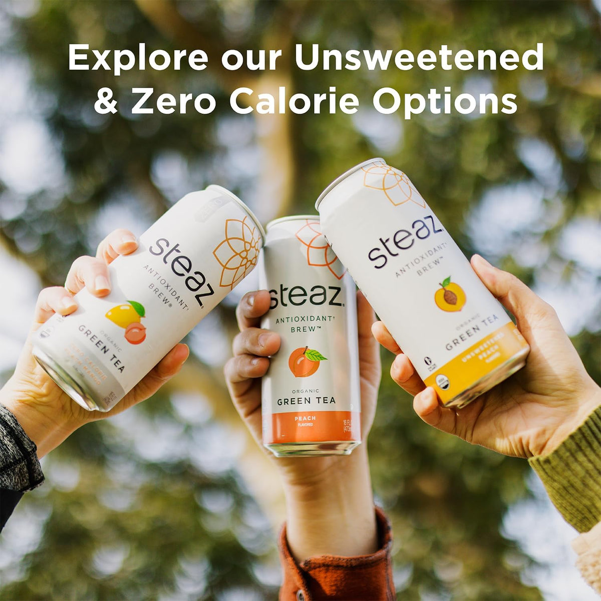 Steaz - Organic Green Tea - Blueberry Pomegranate (12 Pack) - Antioxidant Brew - 65mg Natural Caffeine, 90 Calories, Vitamin C - Cane Sugar Sweetened Iced Tea - Vegan - 12 Cans, 16 fl oz (473mL)