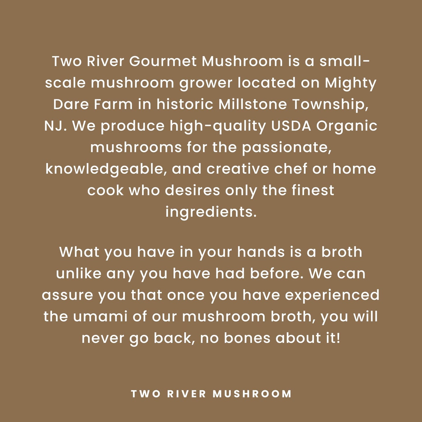 Two River Maitake Mushroom Broth | Organic Vegan Bone Broth Alternative, Creamy Coconut Curry Sipping Drink for Soup & Curries | Plant Based Gluten Free Meal, Ready to Sip – 17.6 fl oz (Pack of 4)