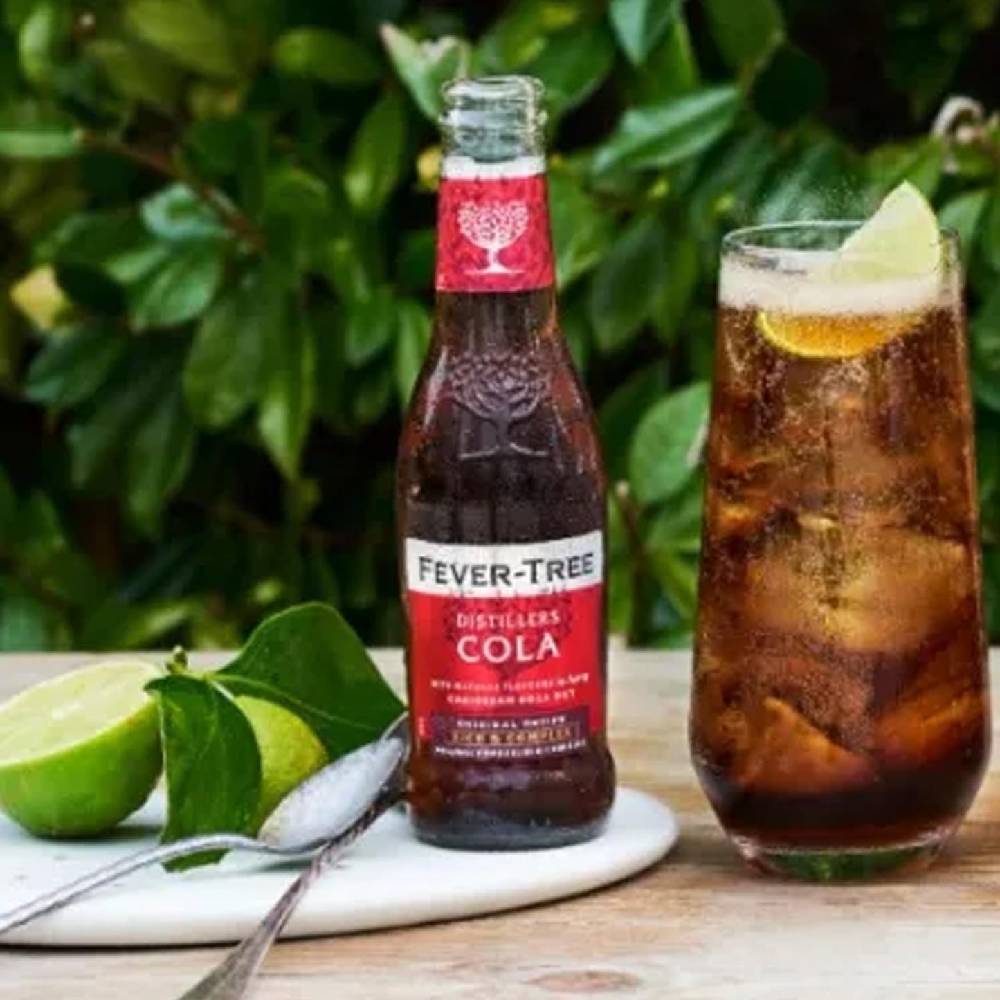 Ritual Zero Non-Alcoholic Rum Alternative with 6 Pack of Mixed Fever Tree for your favorite Alcohol-Free Mixed Drink