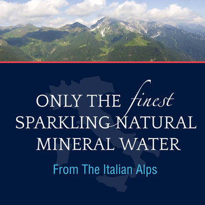 SAN PELLEGRINO Sparkling Mineral Water, 25.3 FZ