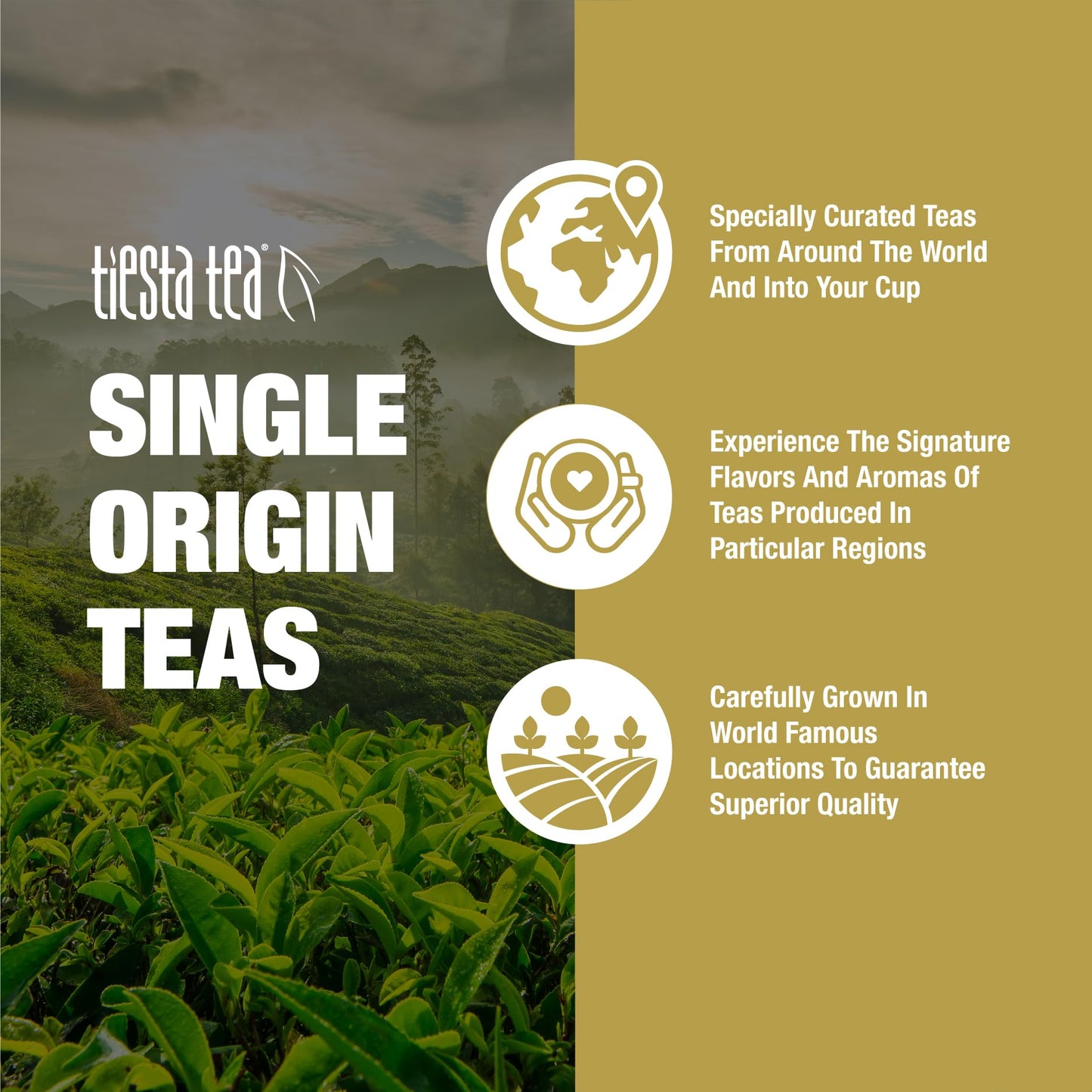 Tiesta Tea - Milk Oolong Tea, Loose Leaf, Single Origin Premium Oolong Blend from China, Medium Caffeinated, Makes Hot or Iced Drink & Up to 50 Cups, 100% Pure Unblended, 4oz Refillable Tin