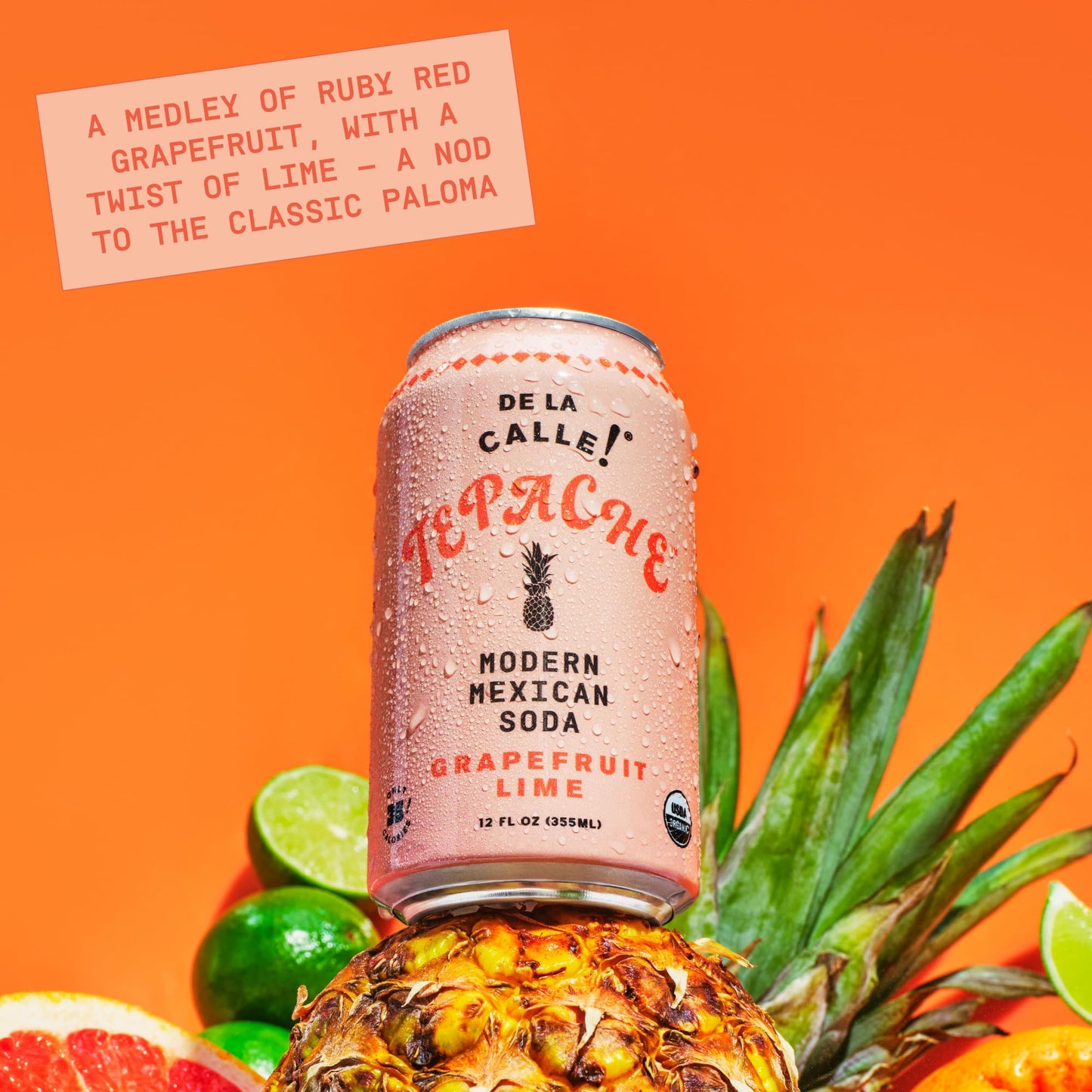 De La Calle, Tepache Grapefruit Lime Paloma Organic, 12 Fl Oz