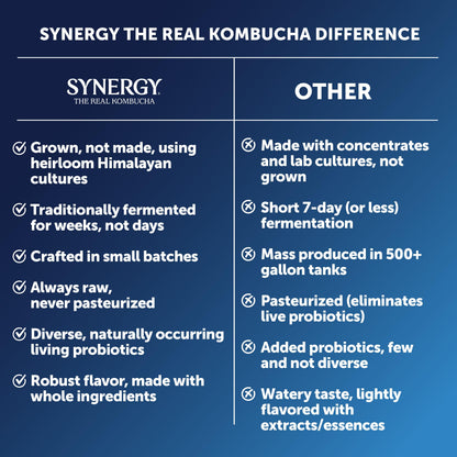 SYNERGY The Real Kombucha - Gingerberry - 16 fl oz Bottle - Raw Probiotic Drink for Gut Health and Immune Support