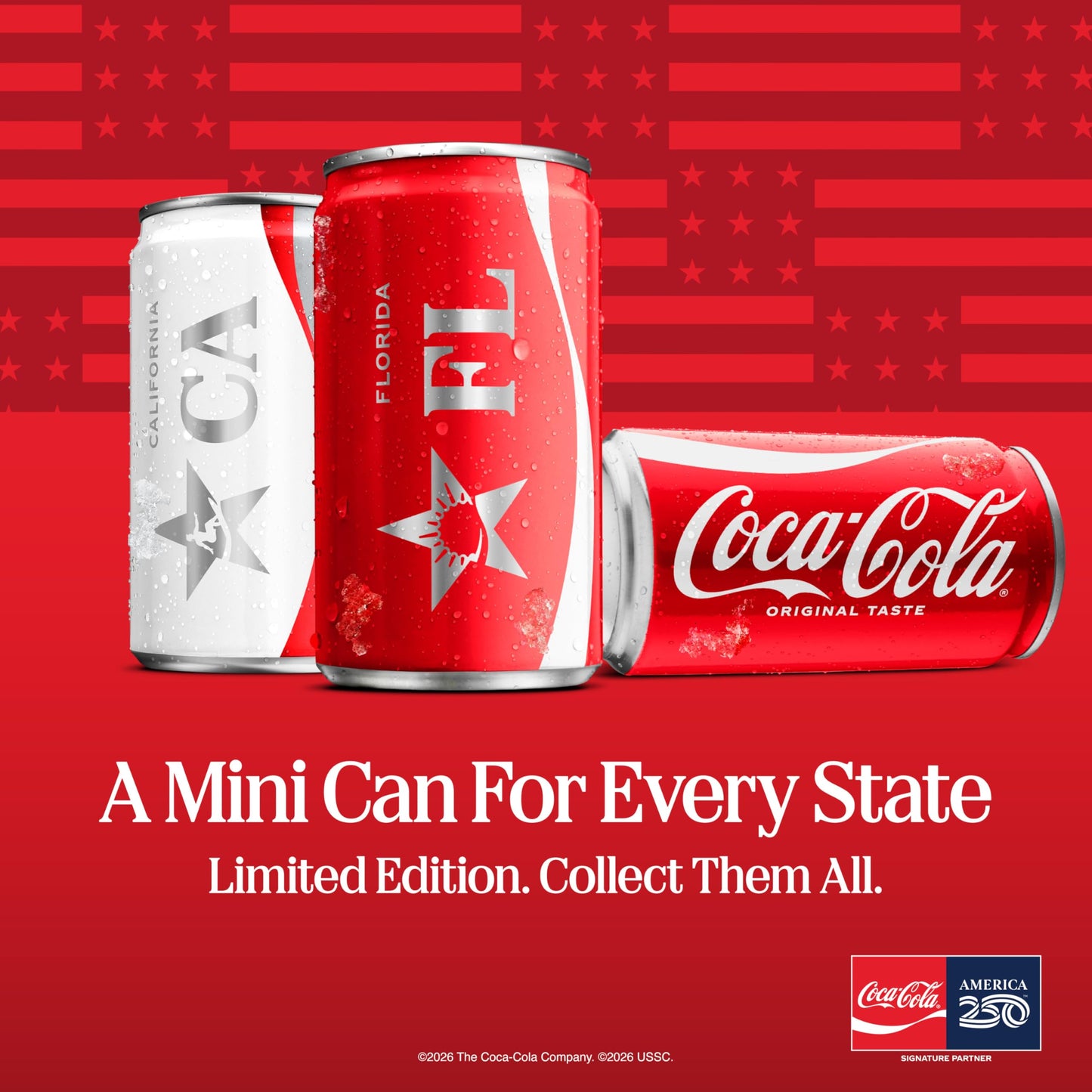 Coke Zero Sugar Diet Soda Soft Drink, 1.25 Liter Bottle