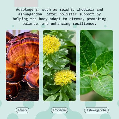 Relax Drink for Relaxation and Stress Relief, Contains Ashwagandha, Rhodiola Rosea and Reishi Mushroom with Advanced Nanoscience Technology, 3 Pack Calm Nervous System Berry Hibiscus, 2oz