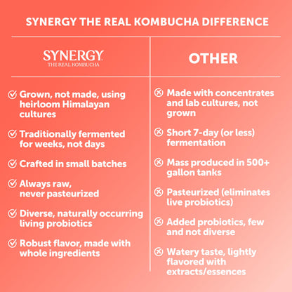 SYNERGY The Real Kombucha - Peach Paradise - 16 fl oz Bottle - Raw Probiotic Drink for Gut Health and Immune Support