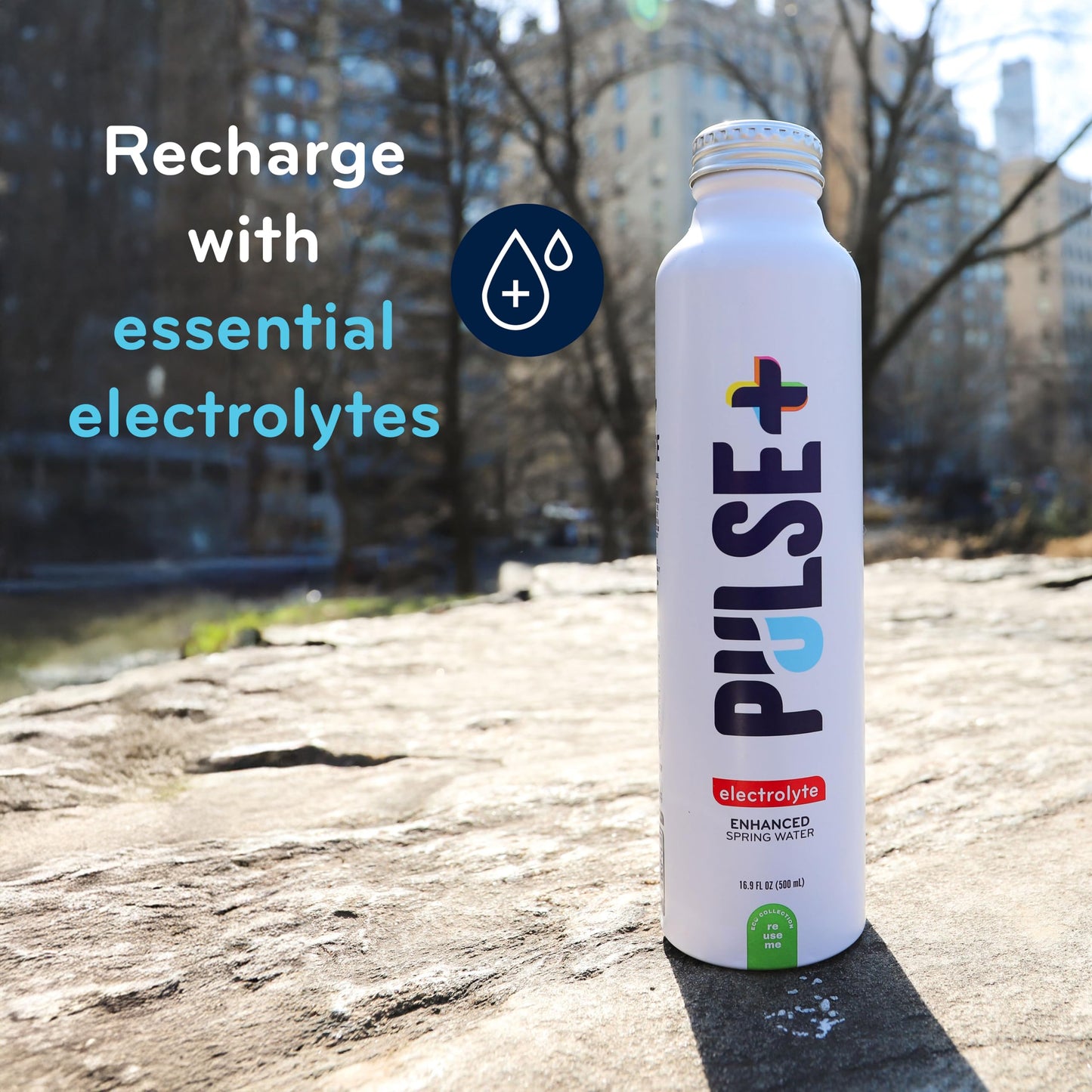 Pulse+ Electrolyte Water - Naturally Filtered Spring Water in 16.9-Ounce Aluminum Bottles, Recyclable and BPA-Free - Case of 12
