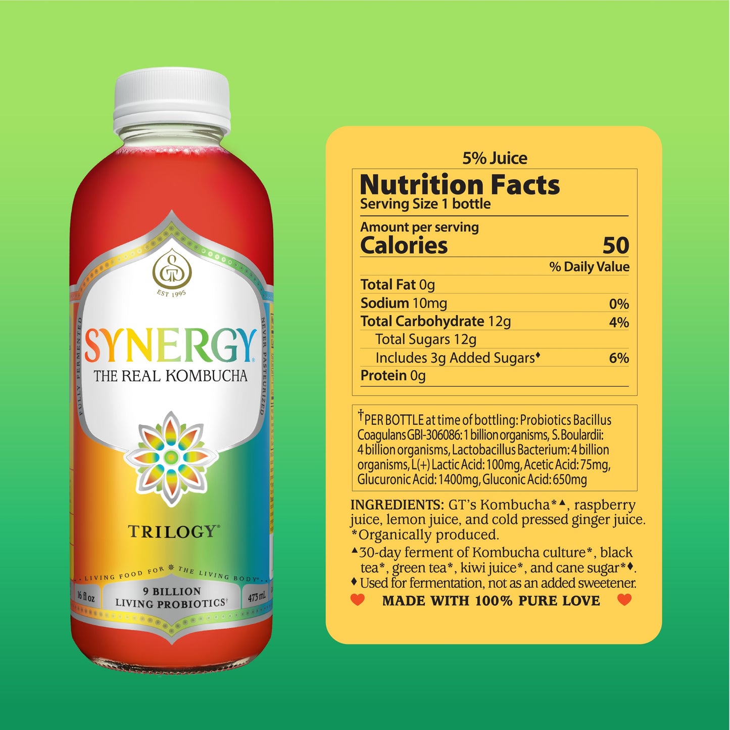 SYNERGY The Real Kombucha Trilogy Kombucha - 16 fl oz Bottle - Raw Probiotic Drink for Gut Health and Immune Support