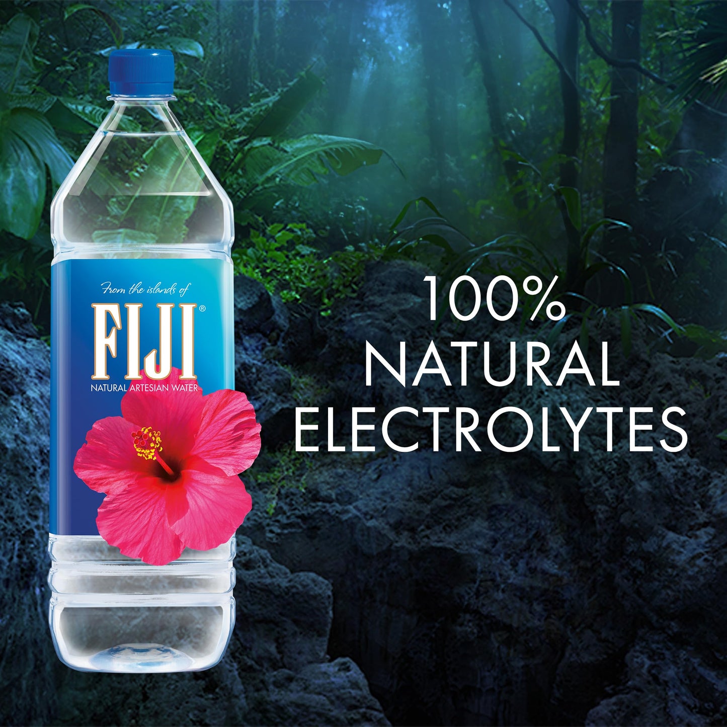 FIJI Artesian Water 50.7 fz, 50.7 FZ