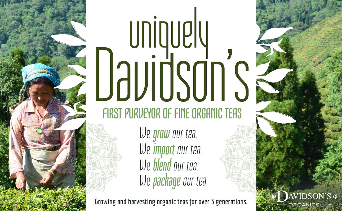 Davidson's Organics, Ginger Peach Iced Tea, QT Size Brew Bag, Case of 48