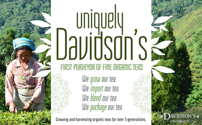 Davidson's Organics, Ginger Peach Iced Tea, QT Size Brew Bag, Case of 48