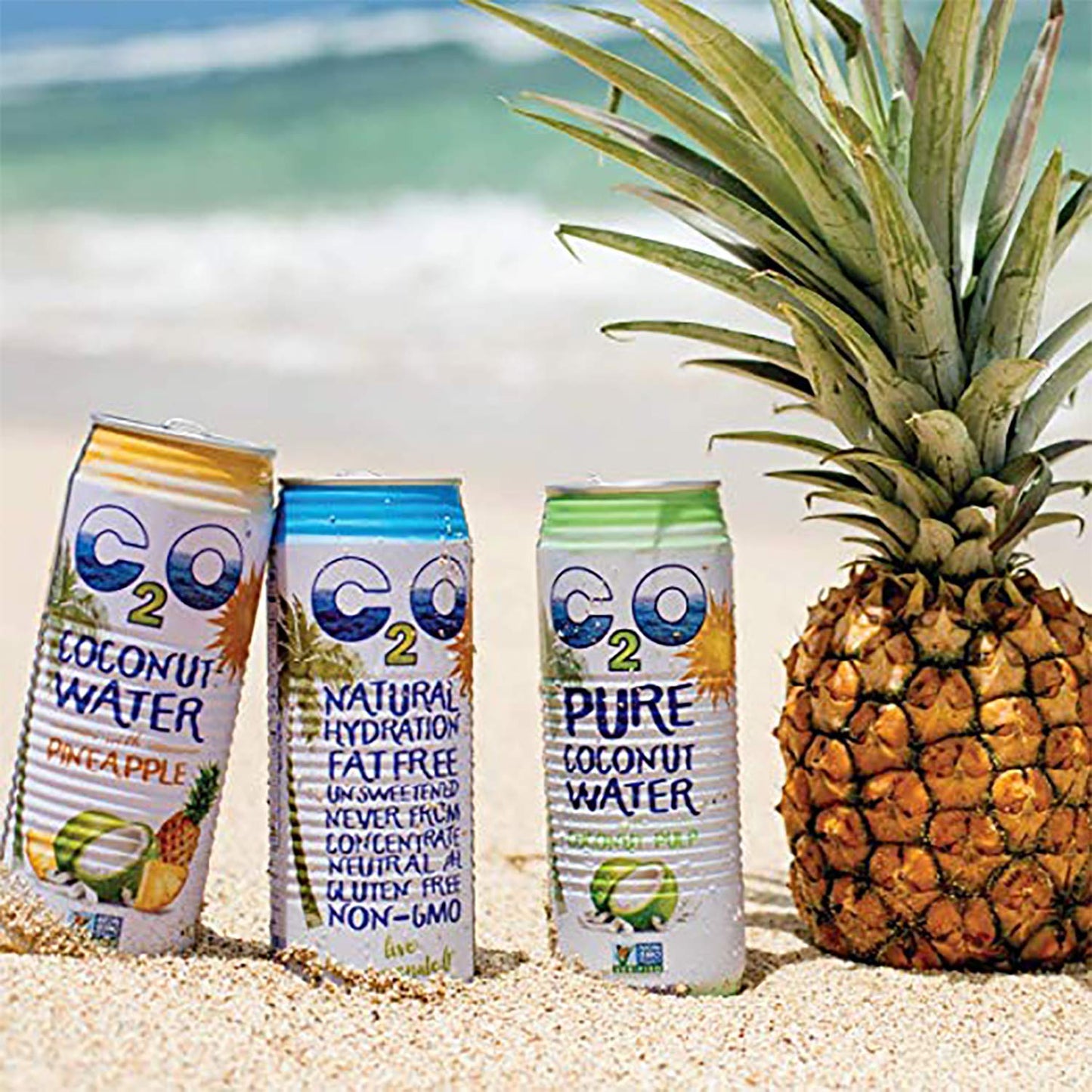C2O Pure Coconut Water with Mango | Plant Based | Non-GMO | No Added Sugar | Essential Electrolytes | 17.5 FL OZ (Pack of 12)