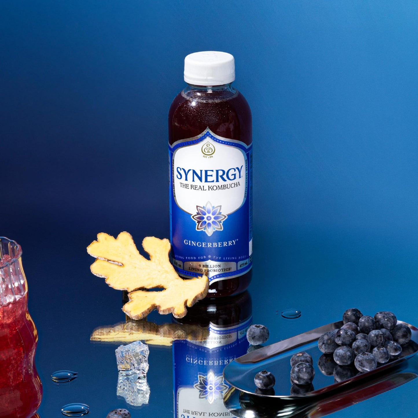 SYNERGY The Real Kombucha - Gingerberry - 16 fl oz Bottle - Raw Probiotic Drink for Gut Health and Immune Support