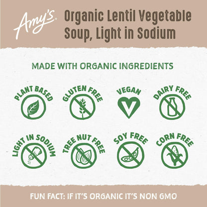 Amy's Lentil Vegetable Low Sodium Organic Soup, 14.5 Ounce