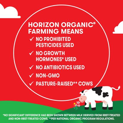 Horizon Organic Shelf Stable 1% Lowfat Milk Box, 8 fl oz - 8g Protein per Serving