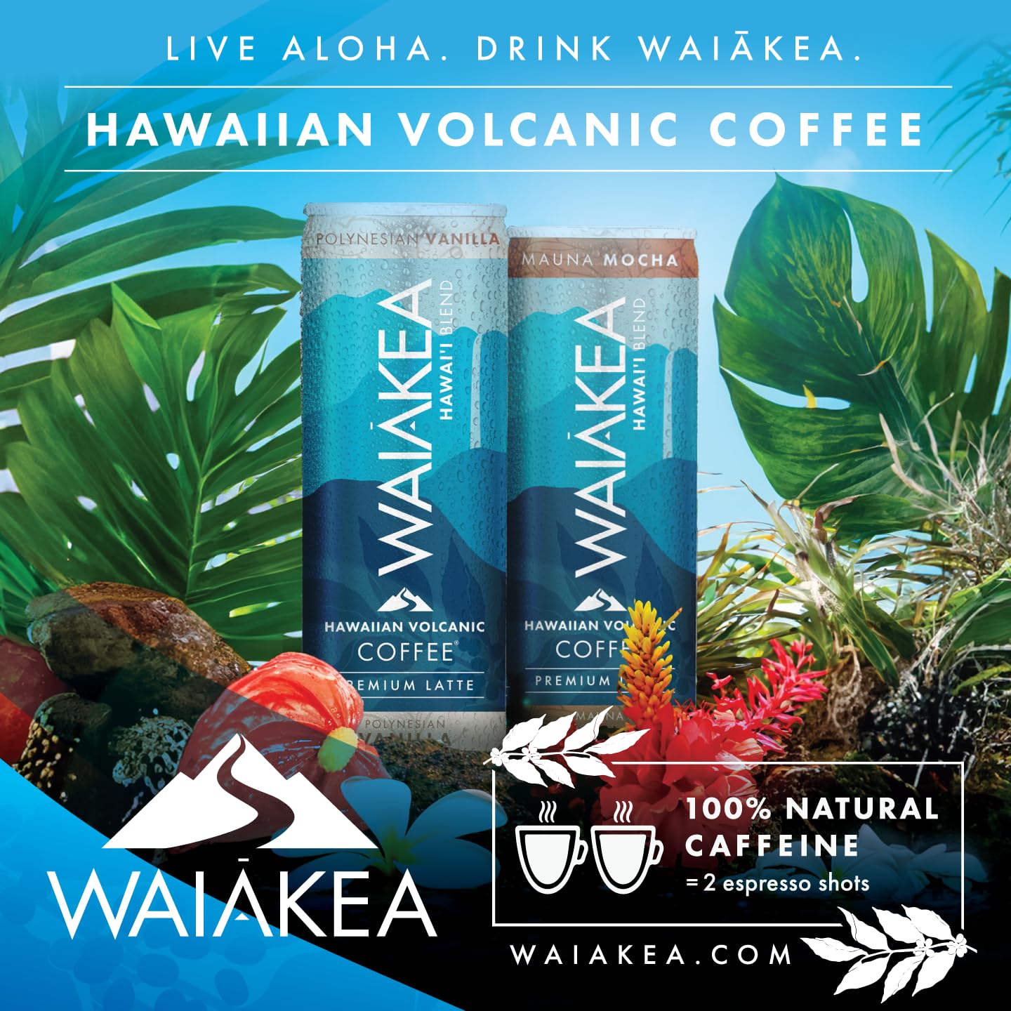 Waiakea Hawaiian Volcanic Coffee | Mauna Mocha Ready to Drink Canned Coffee 11oz | Pack of 12