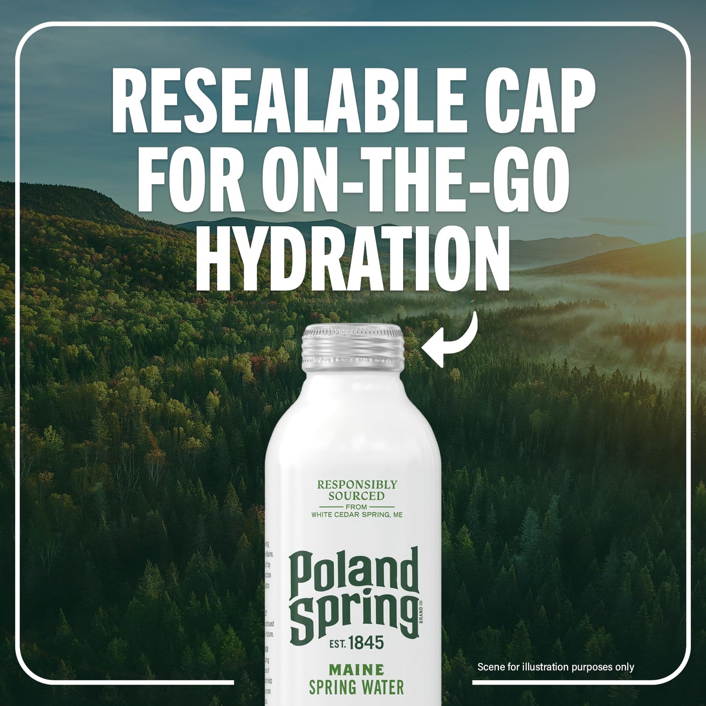Poland Spring Maine Spring Water Aluminum Bottle – Crisp, Still Bottled Water with Naturally Occurring Minerals & Electrolytes for Taste - 12 Pack- 25 fl oz
