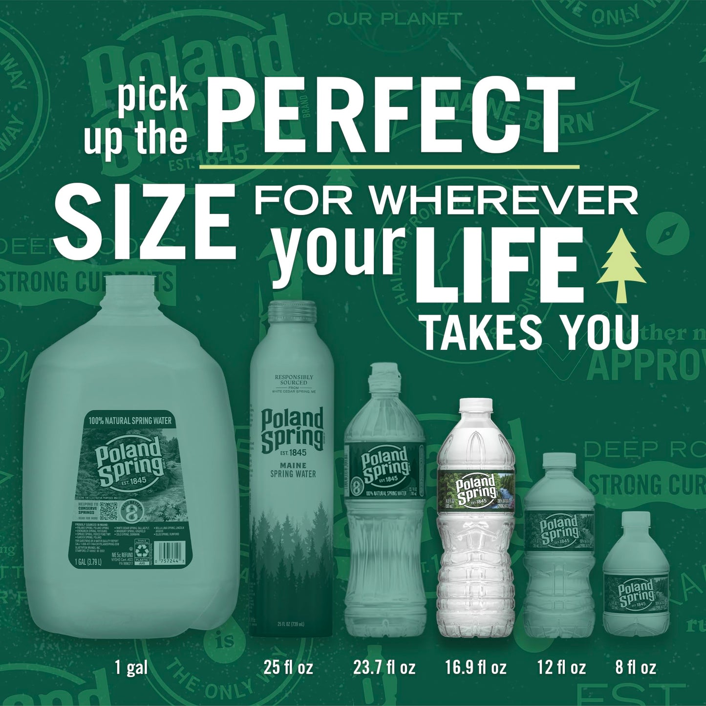 Poland Spring Maine Spring Water Bottles, 24 Pack – Crisp, Still Bottled Water with Naturally Balanced Occurring Minerals & Electrolytes for Taste - 16.9 Fl Oz