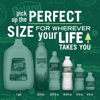 Poland Spring Maine Spring Water Bottles, 24 Pack – Crisp, Still Bottled Water with Naturally Balanced Occurring Minerals & Electrolytes for Taste - 16.9 Fl Oz