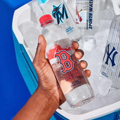 PULSE Boston Red Sox Natural Spring Water - Natural Sports Water Bottle Pack - Filtered Bottles - Recyclable and BPA-Free - 24 Pack