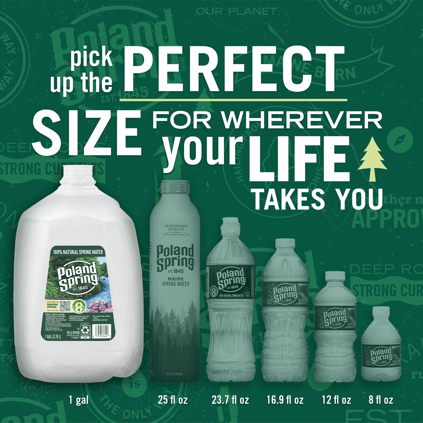 Poland Spring Maine Spring Water Bottles, 1 Gallon Jug – Still Bottled Water with Naturally Occurring Minerals