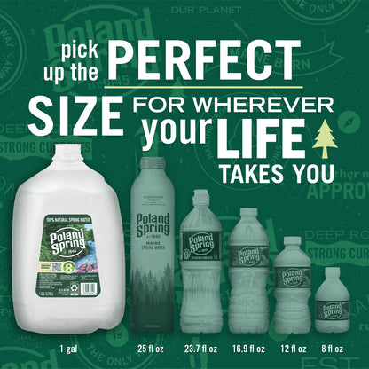 Poland Spring Maine Spring Water Bottles, 1 Gallon Jug – Still Bottled Water with Naturally Occurring Minerals