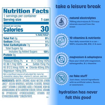 Leisure Hydration Non-Carbonated Electrolyte Refresher, Wild Blueberry Flavor - Low Sugar Nutrient Enhanced Water Beverage - Get The Best Hydration Packed w/ Magnesium & Ashwagandha For Mood & Stress Support, Non-GMO, 16 oz (12-Cans)