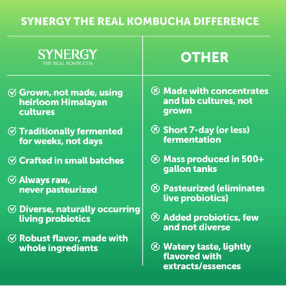 SYNERGY The Real Kombucha Trilogy Kombucha - 16 fl oz Bottle - Raw Probiotic Drink for Gut Health and Immune Support