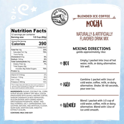 Big Train Mocha Blended Iced Coffee Beverage Mix, 2.9 oz Packets (Pack of 12)
