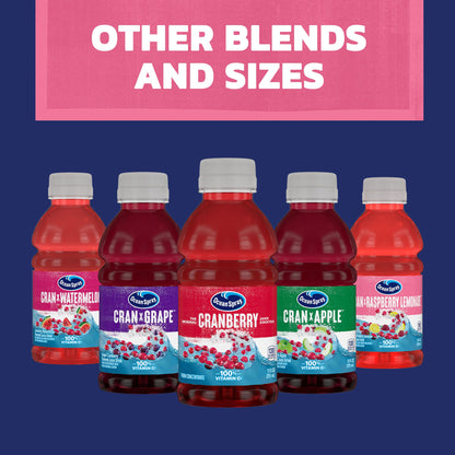 Ocean Spray® Cran-Raspberry Lemonade™ Cranberry Raspberry Lemonade Juice Drinks, 10 Fl Oz Bottles, 6 Count (Pack of 2)