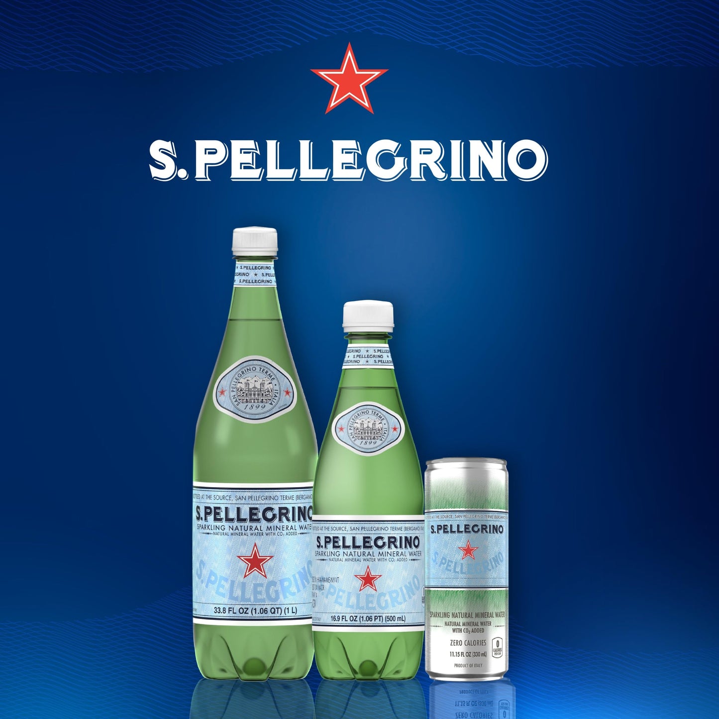 SAN PELLEGRINO NATURAL SPRK MINERAL WATER PLASTIC BOTTLE 1 CT 33.8 Fl Oz (Pack of 1)
