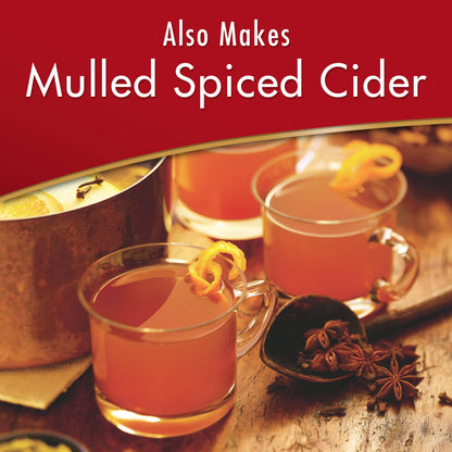 Alpine Spiced Cider Original Drink Mix, Apple Flavor, 10 Pouches