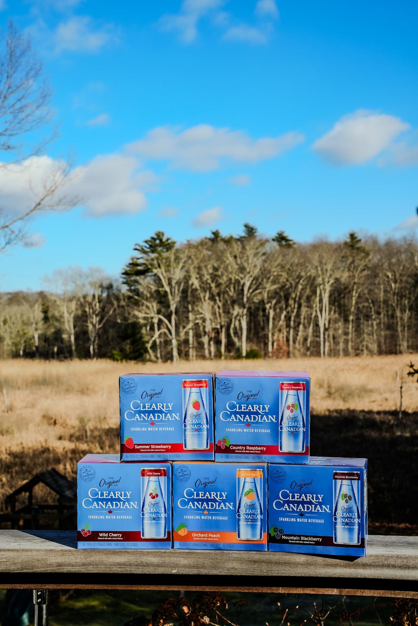 Clearly Canadian Wild Cherry 6pk Cans