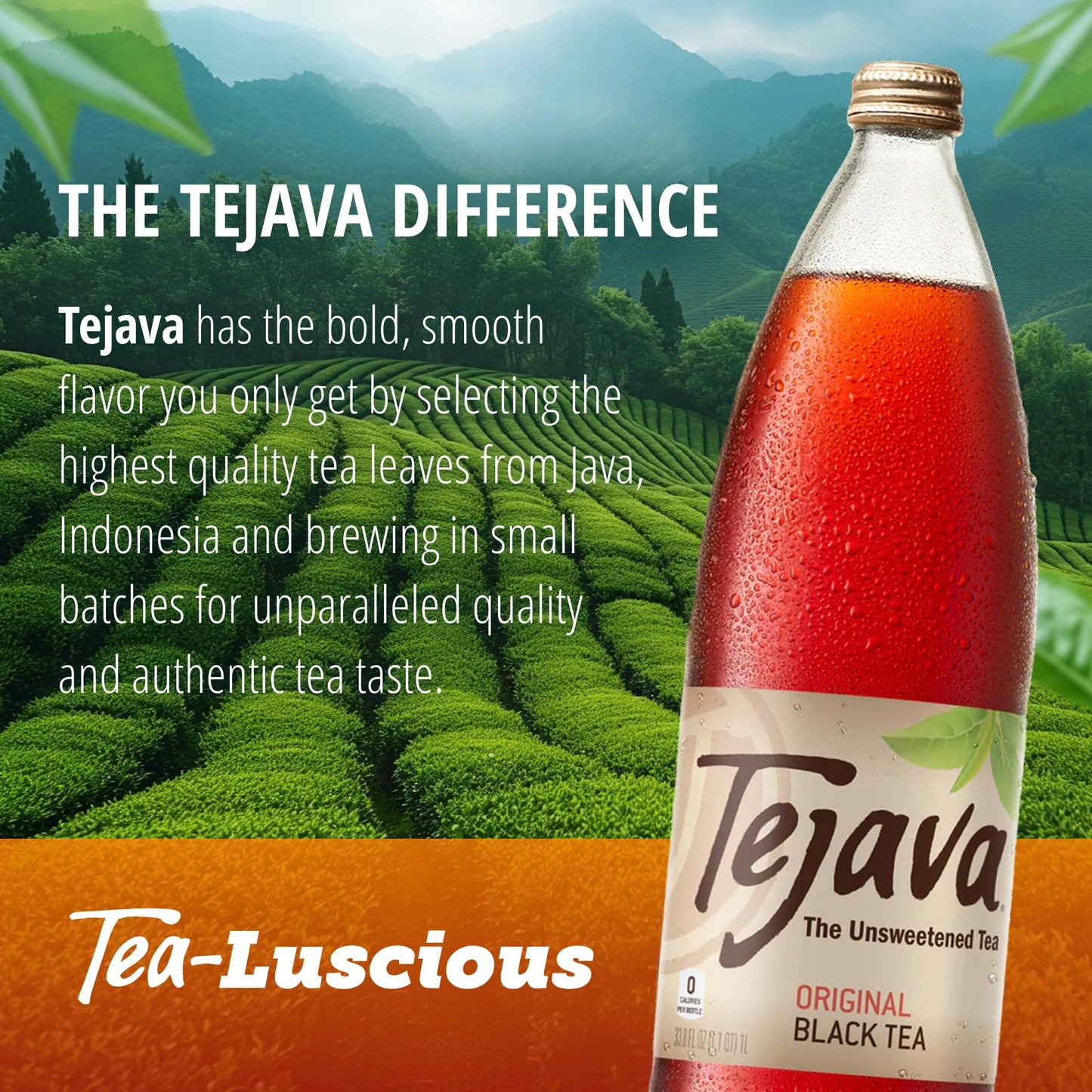 Tejava Original Unsweetened Black Iced Tea, 12 Pack, 1 Liter Glass Bottles, Non-GMO, Kosher, No Sugar or Sweeteners, No calories, No Preservatives, Brewed in Small Batches