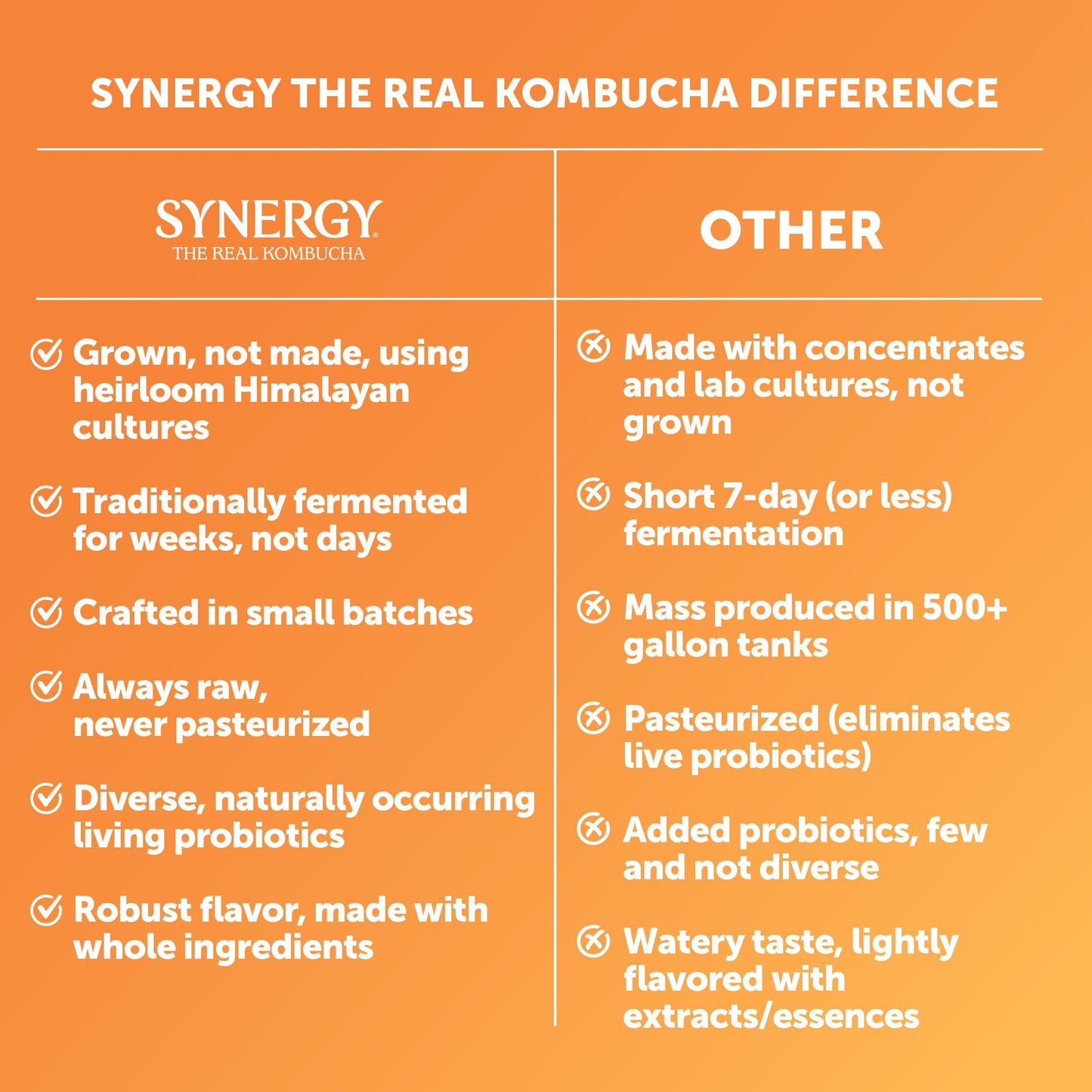 SYNERGY The Real Kombucha - Mystic Mango - 16 fl oz Bottle - Raw Probiotic Drink for Gut Health and Immune Support