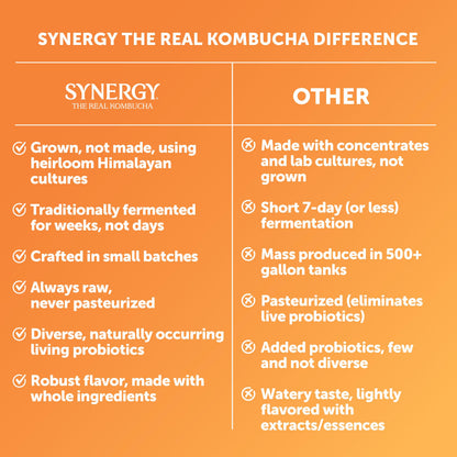 SYNERGY The Real Kombucha - Mystic Mango - 16 fl oz Bottle - Raw Probiotic Drink for Gut Health and Immune Support