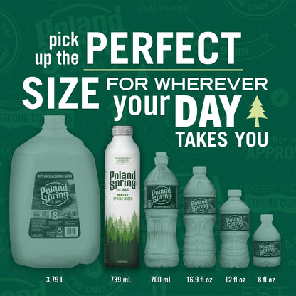 Poland Spring Maine Spring Water Aluminum Bottle – Crisp, Still Bottled Water with Naturally Occurring Minerals & Electrolytes for Taste - 12 Pack- 25 fl oz