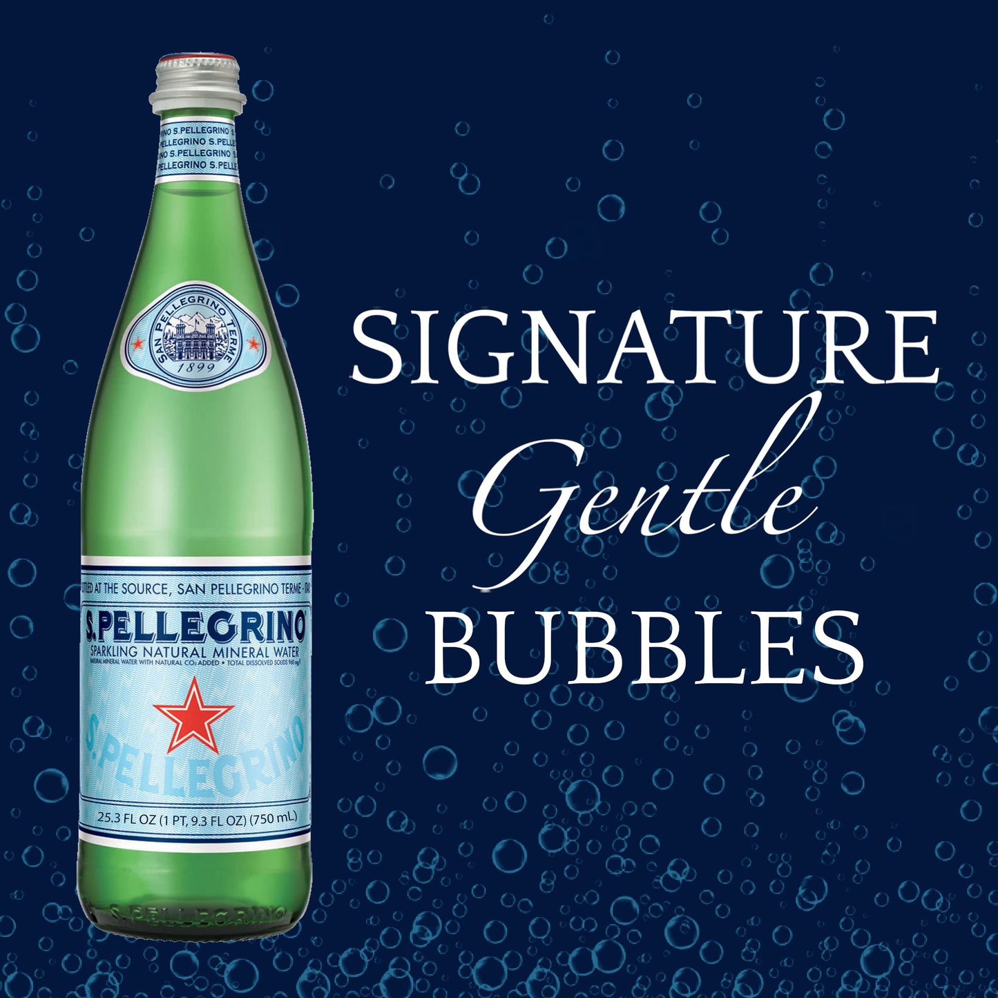 SAN PELLEGRINO Sparkling Mineral Water, 25.3 FZ