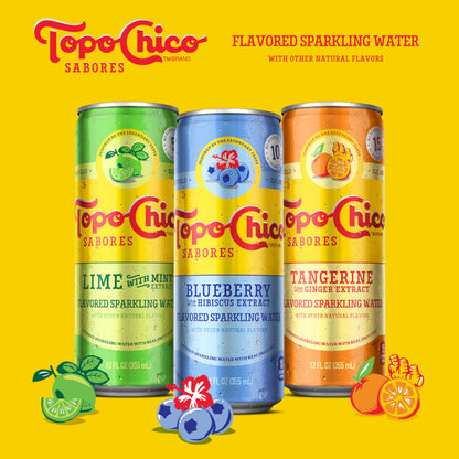 Topo Chico Sabores Blueberry with Hibiscus Extract 12oz Can
