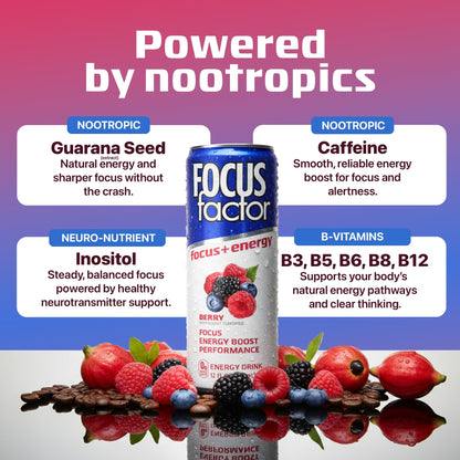 Focus Factor Energy Drink - 12 x 355ml Cans (Berry Flavour) - with Focus + Energy - Lightly Carbonated, Sugar Free, Low Calorie with Vitamin B6 & Vitamin B12