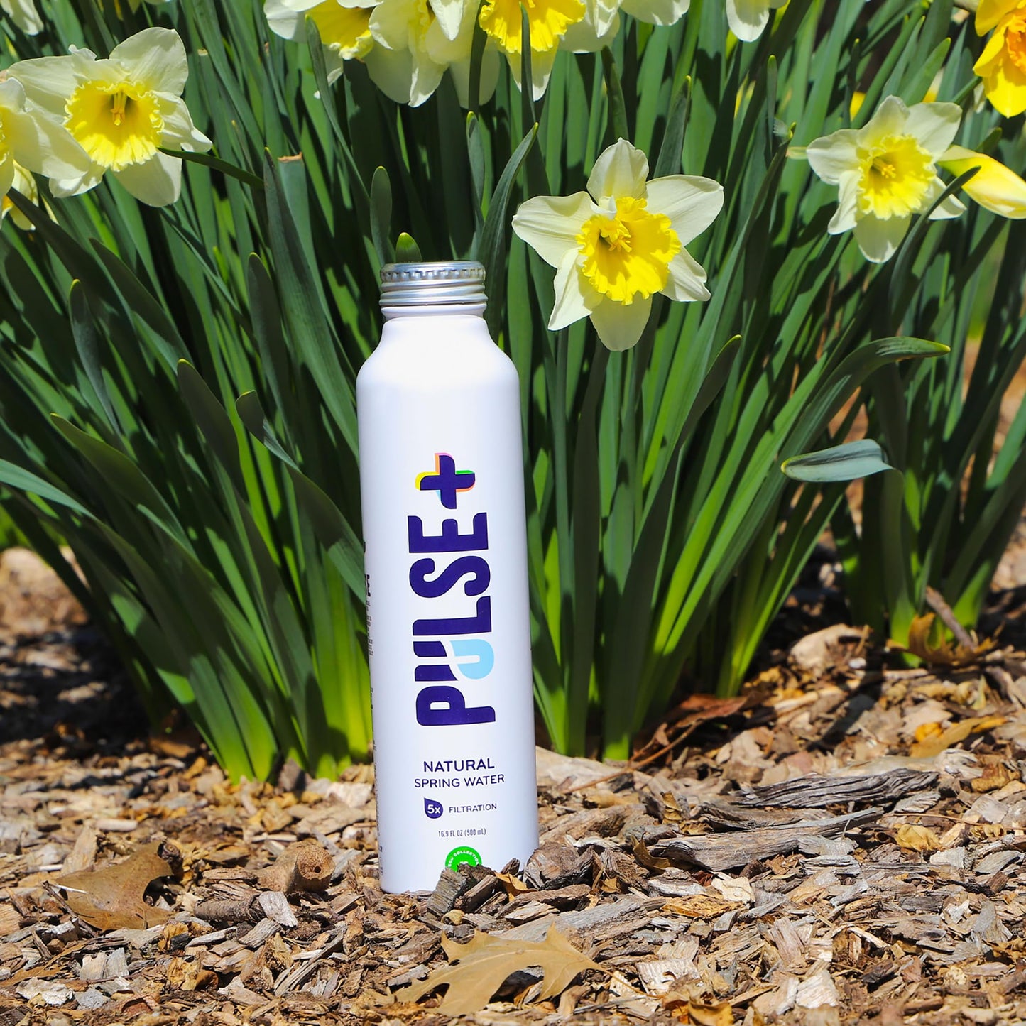 Pulse+ Natural Spring Bottled Water - Naturally Filtered Spring Water - 16.9 oz Recyclable, BPA-Free Aluminum Bottles - Case of 12