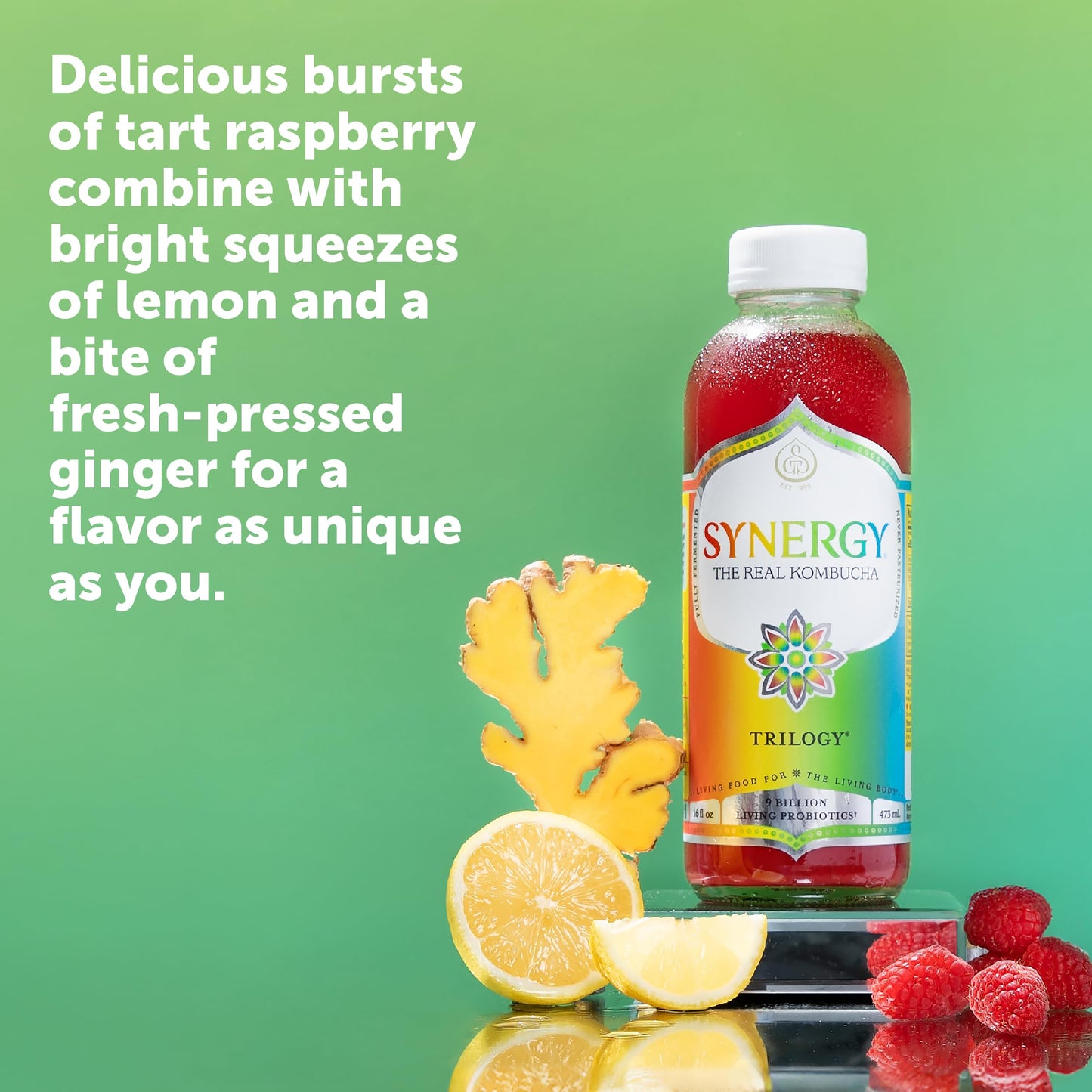 SYNERGY The Real Kombucha Trilogy Kombucha - 16 fl oz Bottle - Raw Probiotic Drink for Gut Health and Immune Support