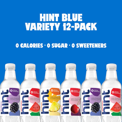 Hint Bottled Water Bundle, Winter & Best Sellers Variety Packs - Sugar Free Flavored Water with Zero Calories, Natural Fruit Essences, and No Artificial Sweeteners - 16 Fl Oz (Pack of 24)