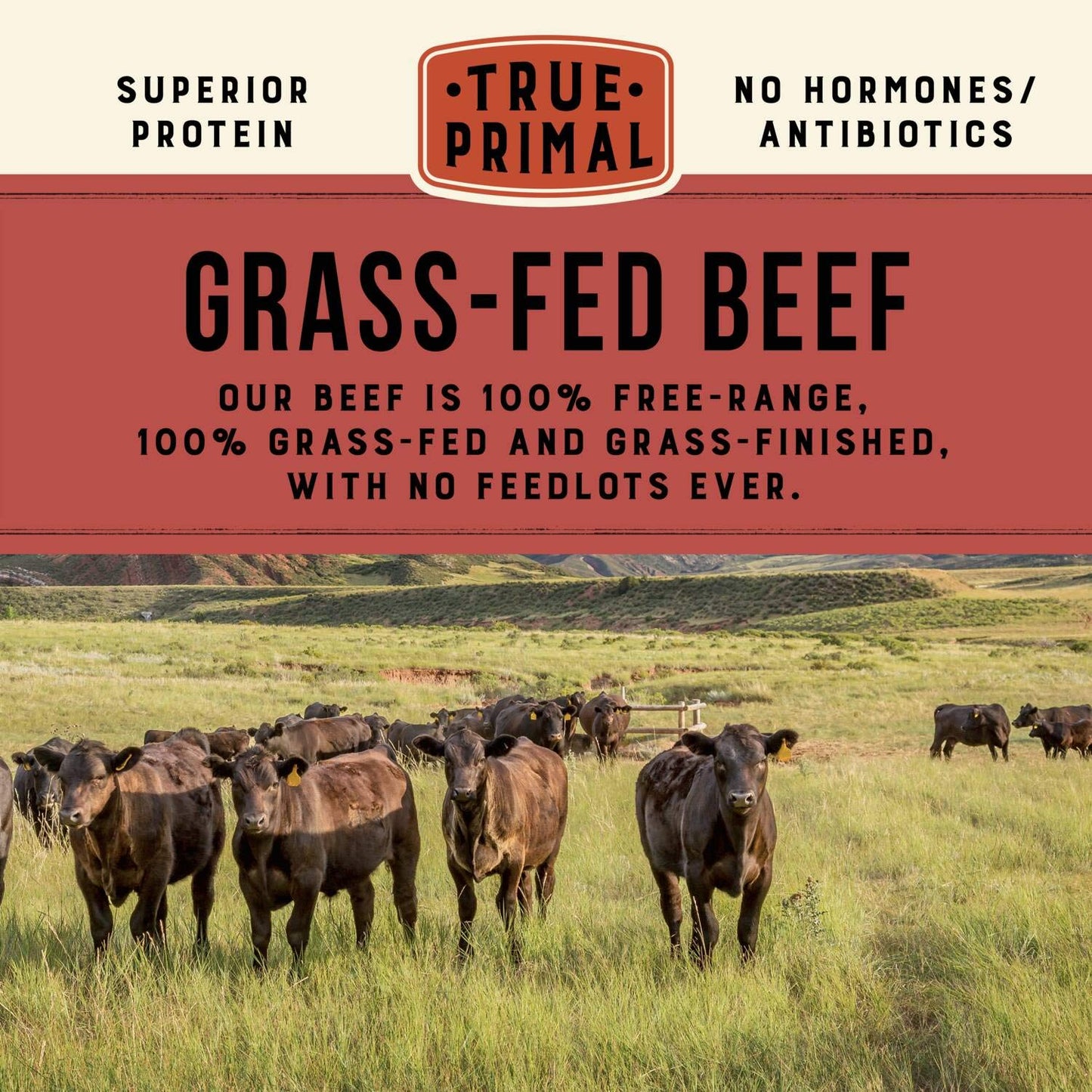 True Primal Beef & Vegetable Organic Soup 8-pack, Ready to eat, Gluten free, Paleo, Grass-fed beef, Whole30, Keto
