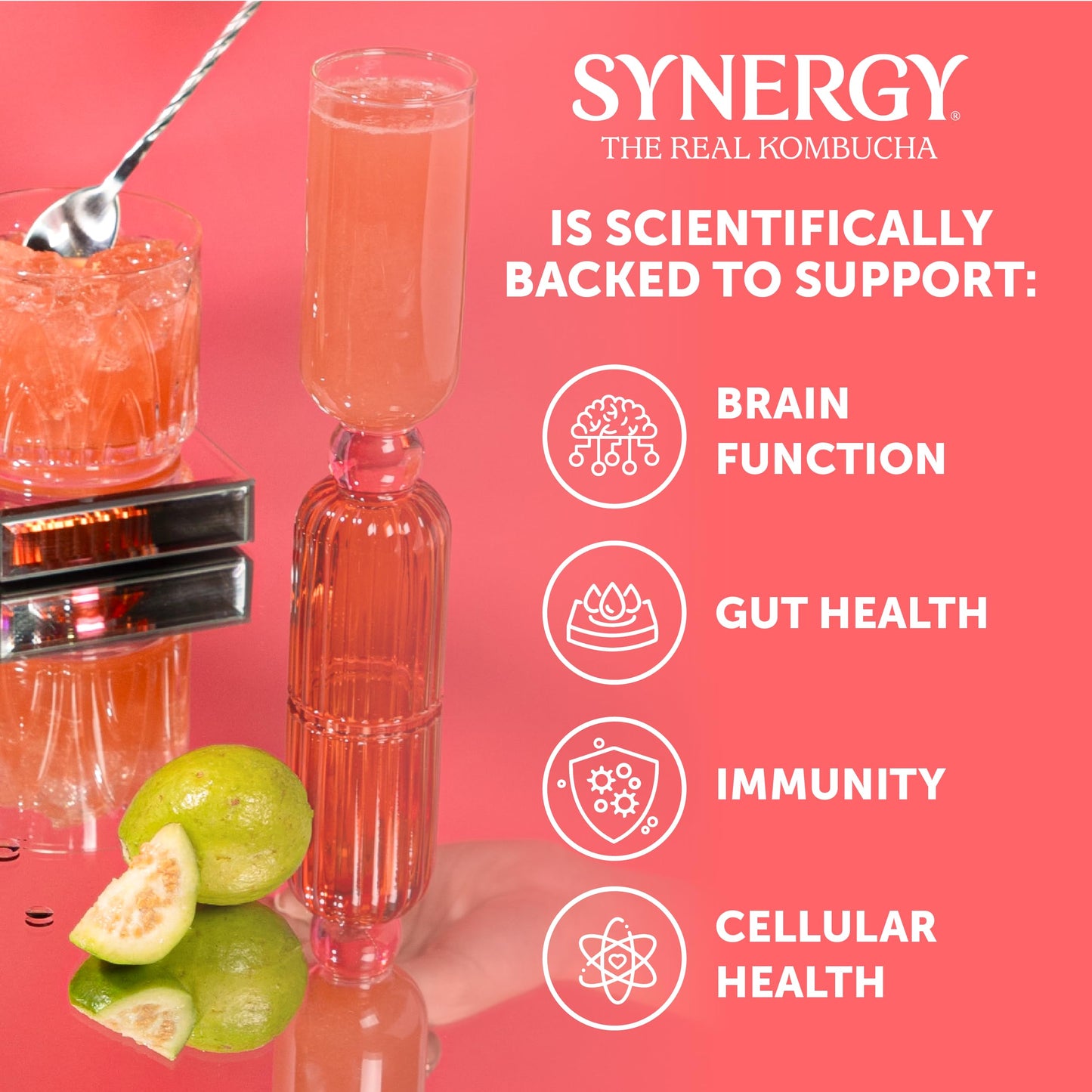 SYNERGY The Real Kombucha - Guava Goddess - 16 fl oz Bottle - Raw Probiotic Drink for Gut Health and Immune Support
