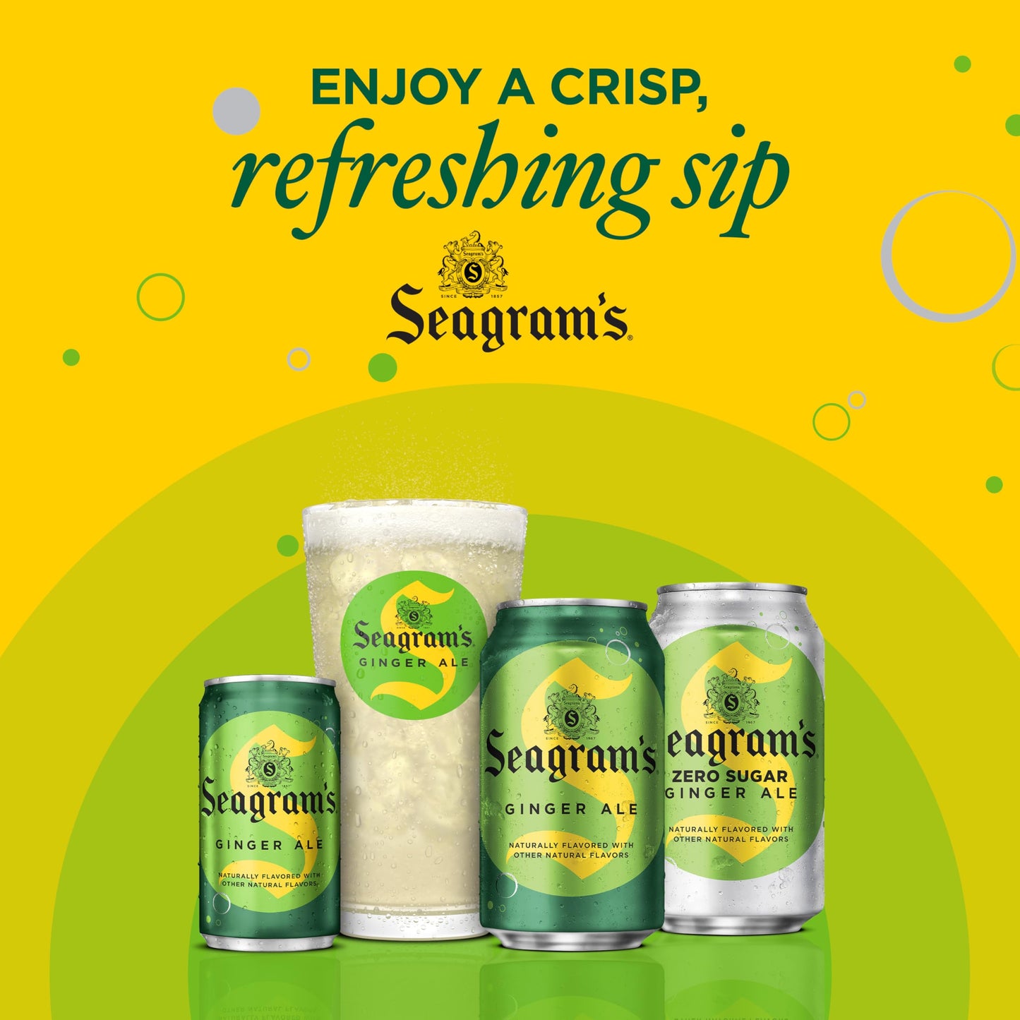 Seagram's Diet Ginger Ale, 12 fl oz, 12 Pack