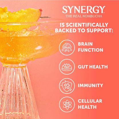 SYNERGY The Real Kombucha - Peach Paradise - 16 fl oz Bottle - Raw Probiotic Drink for Gut Health and Immune Support