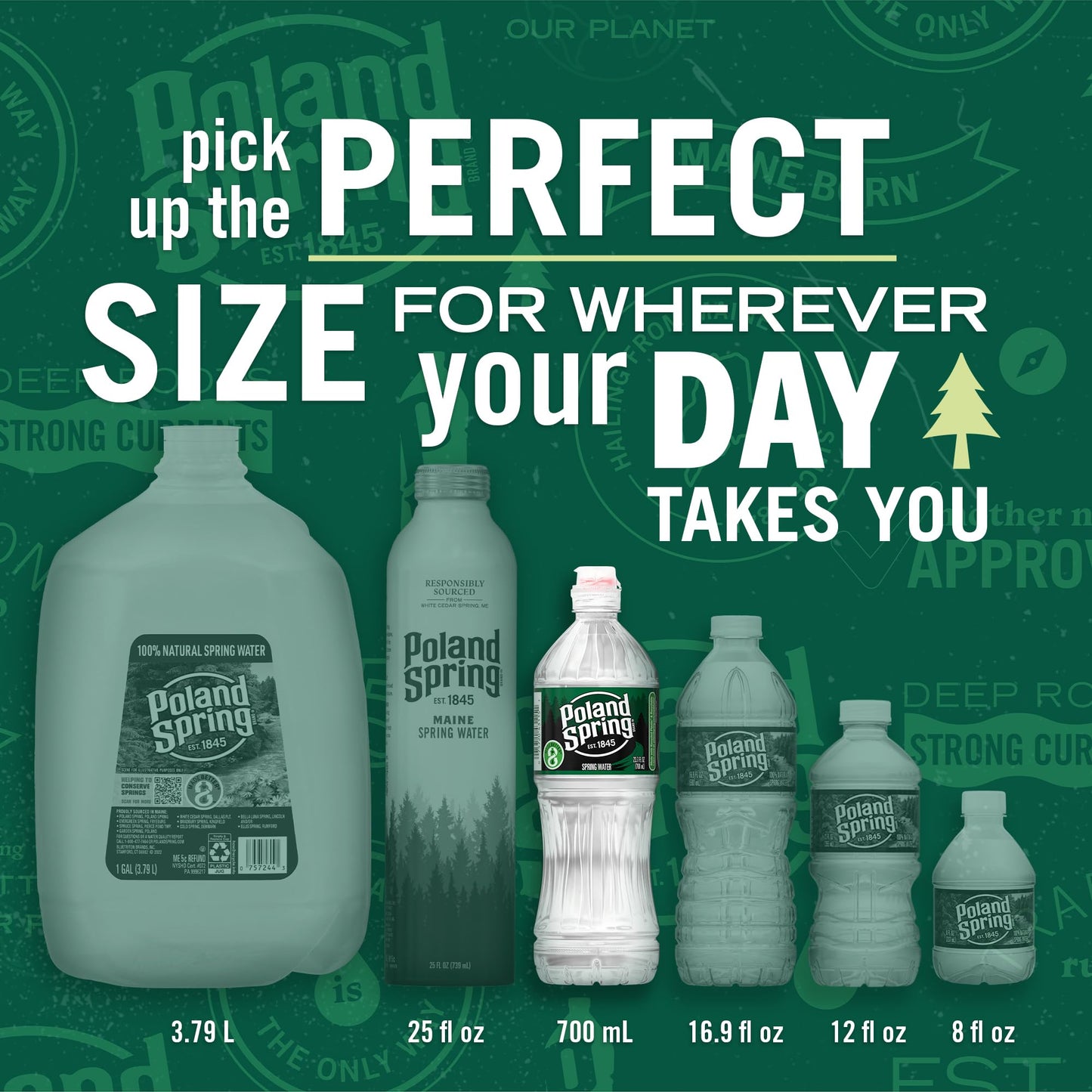 Poland Spring Maine Spring Water Bottles with Sports Flip Cap, 24-Pack - Still Bottled Water with Naturally Occurring Minerals for Taste - 23.7 Fl Oz