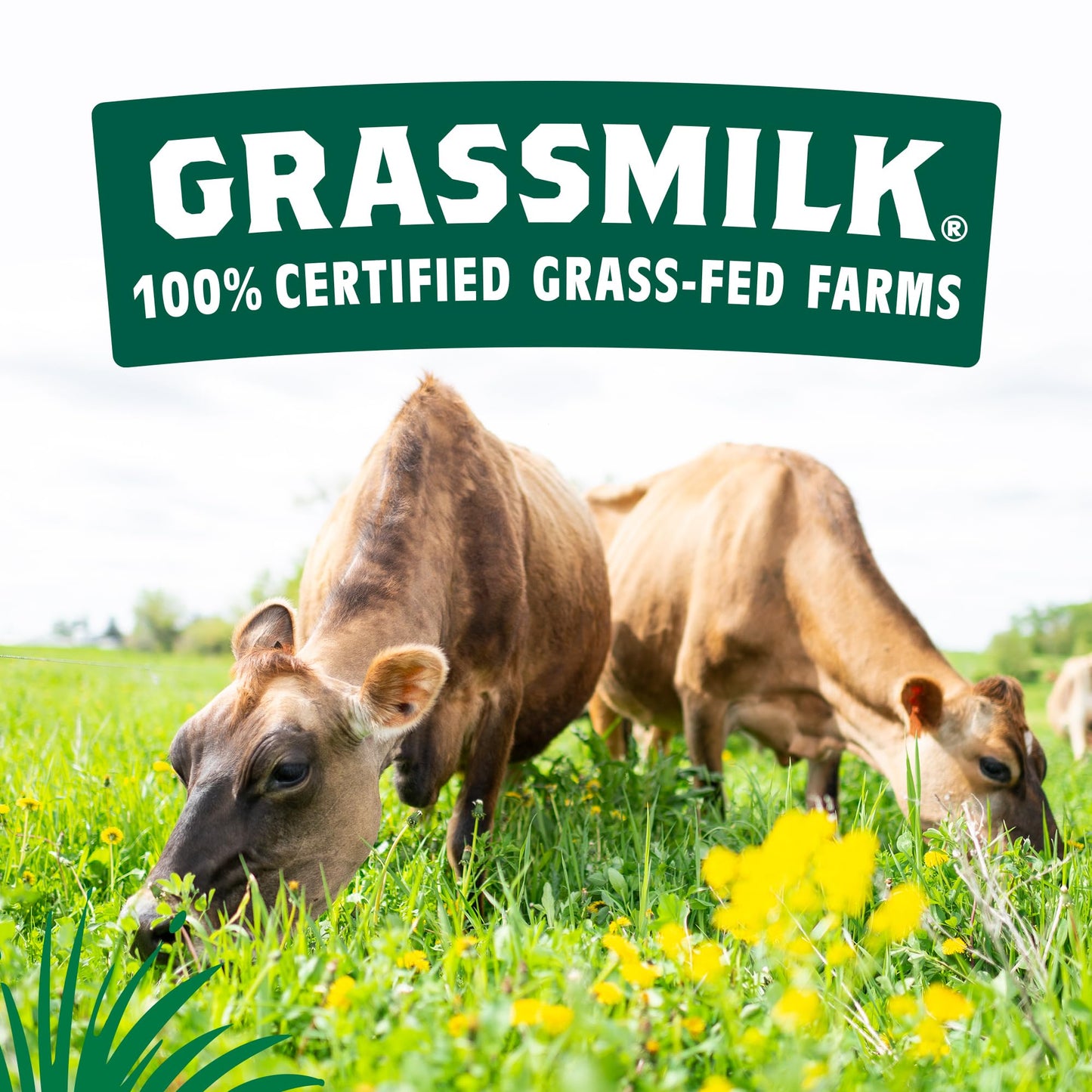 Organic Valley Grassmilk 100% Grass Fed 2% Reduced Fat Milk, Organic, 59 fl oz