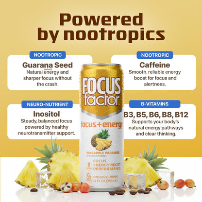 Focus Factor Energy Drink - 12 x 355ml Cans (Pineapple Paradise Flavor) - with Focus + Energy - Lightly Carbonated, Sugar Free, Low Calorie with Vitamin B6 & Vitamin B12